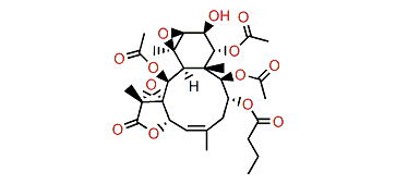 Stecholide M